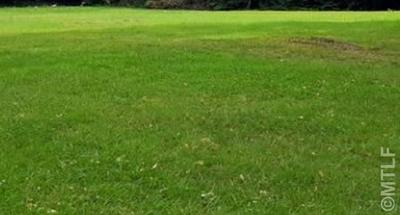 Terrain constructible - 526 m²