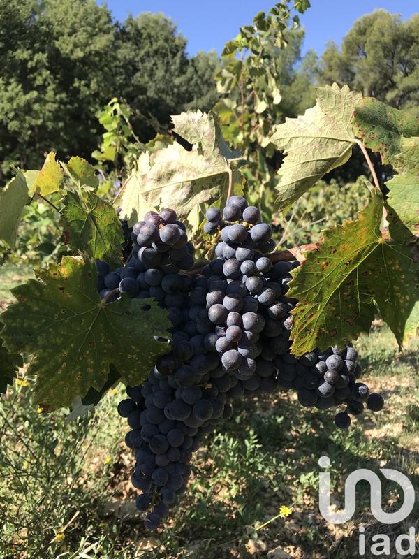 Maison - 222 m² - 8 pièces