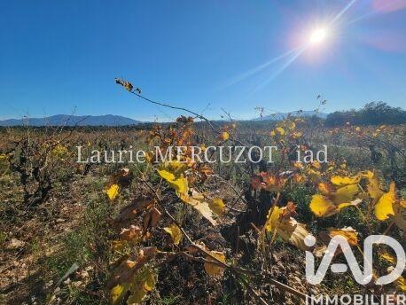 Terrain - 70 750 m²