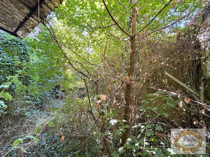 Maison ancienne - 300 m² - 6 pièces