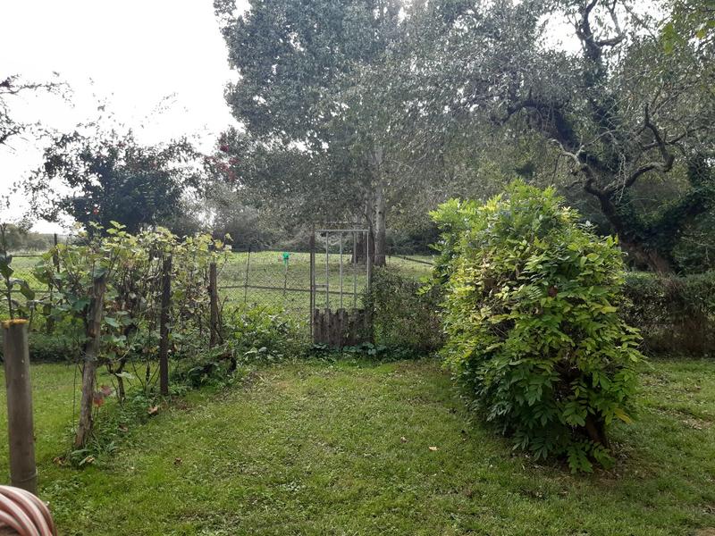 Maison - 205 m² - 6 pièces