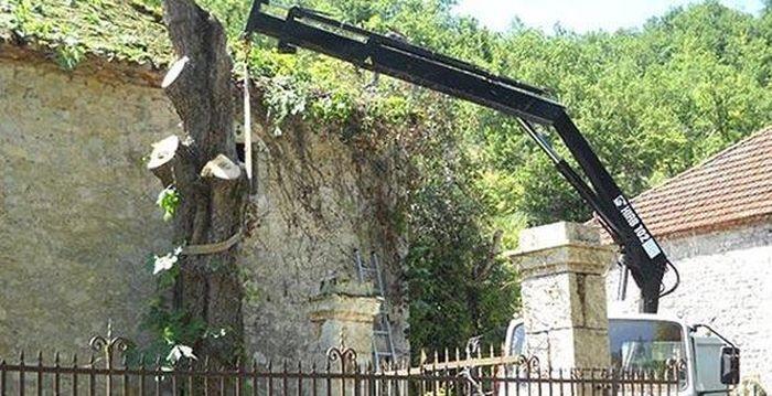 Elagages,entretien des espaces verts à Cahors