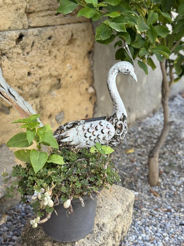 Mas - 400 m² - 14 pièces