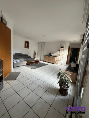 Appartement - 50 m² - 2 pièces