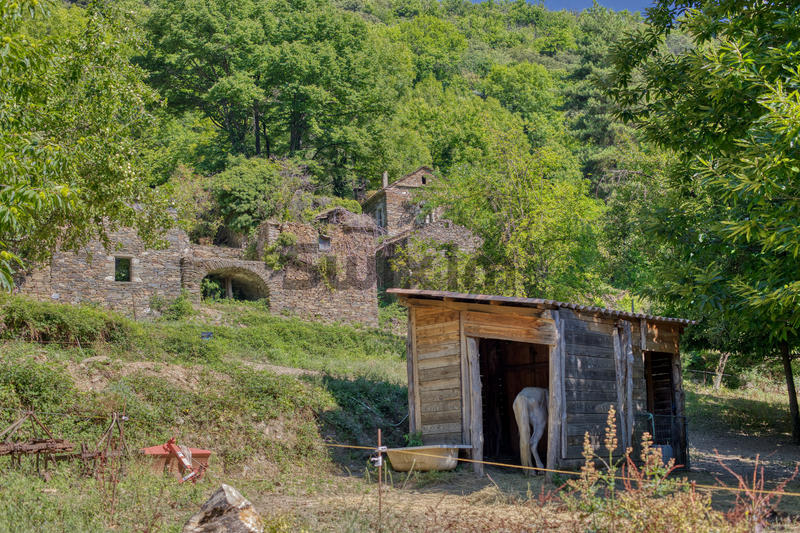 Mas - 157 m² - 8 pièces