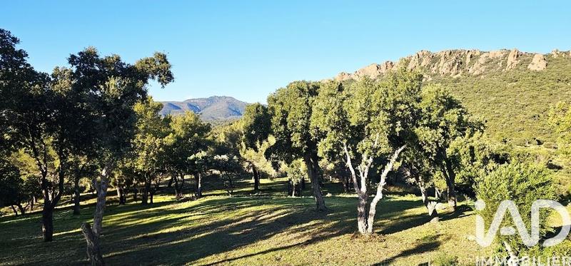 Maison - 250 m² - 7 pièces