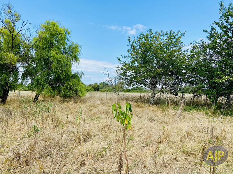 Maison - 217 m² - 7 pièces