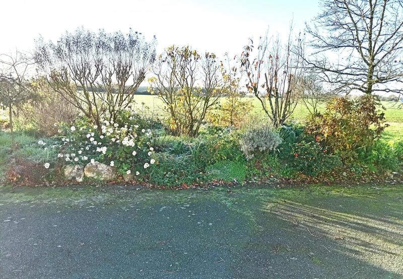 Maison - 229 m² - 8 pièces