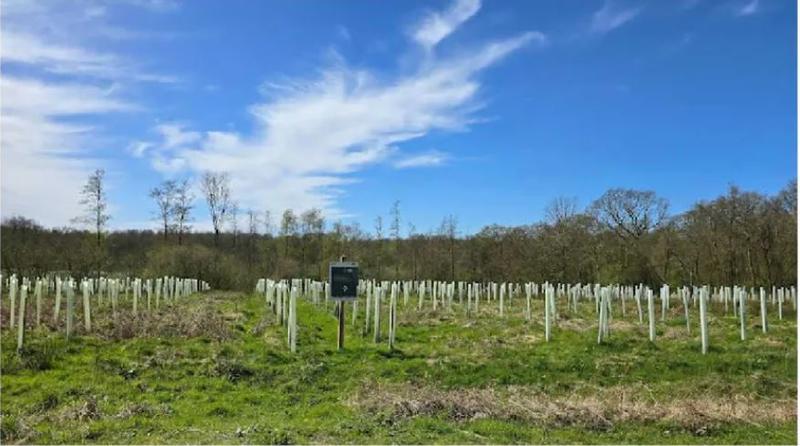 Bainc' Trail Baincthun