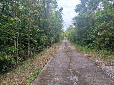 Terrain constructible - 2 000 m²