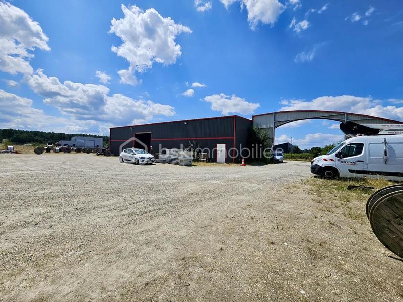 Local d'activité / Entrepôt - 354 m² - 3 pièces