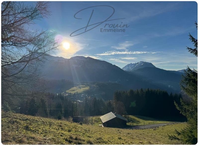 Terrain agricole - 15 405 m²