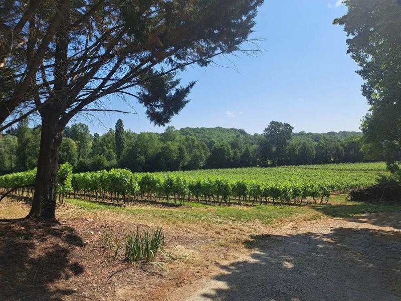 Propriété viticole - 168 m² - 7 pièces