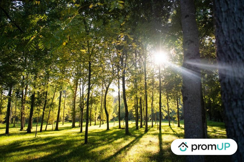 Terrain de loisirs - 645 m²