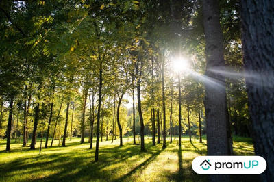 Terrain de loisirs - 645 m²