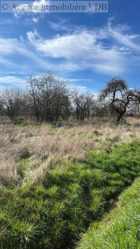 Terrain constructible - 668 m²