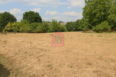Terrain - 3 169 m²