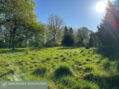 Terrain de loisirs - 9 600 m²