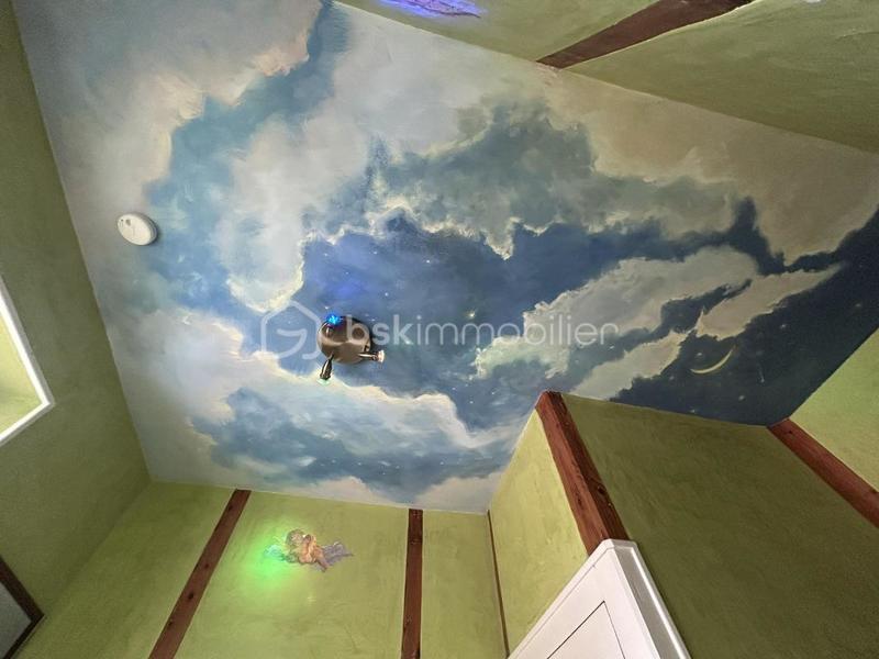 Château - 360 m² - 12 pièces