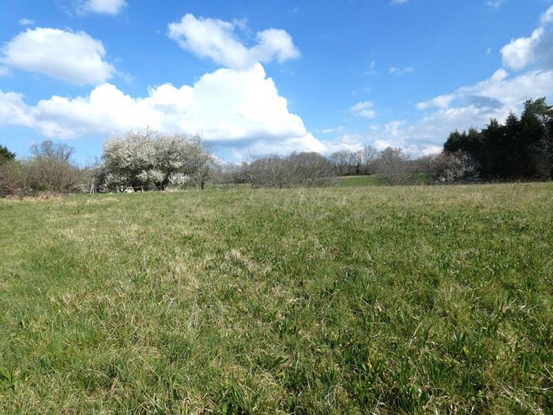 Terrain constructible - 2 005 m²