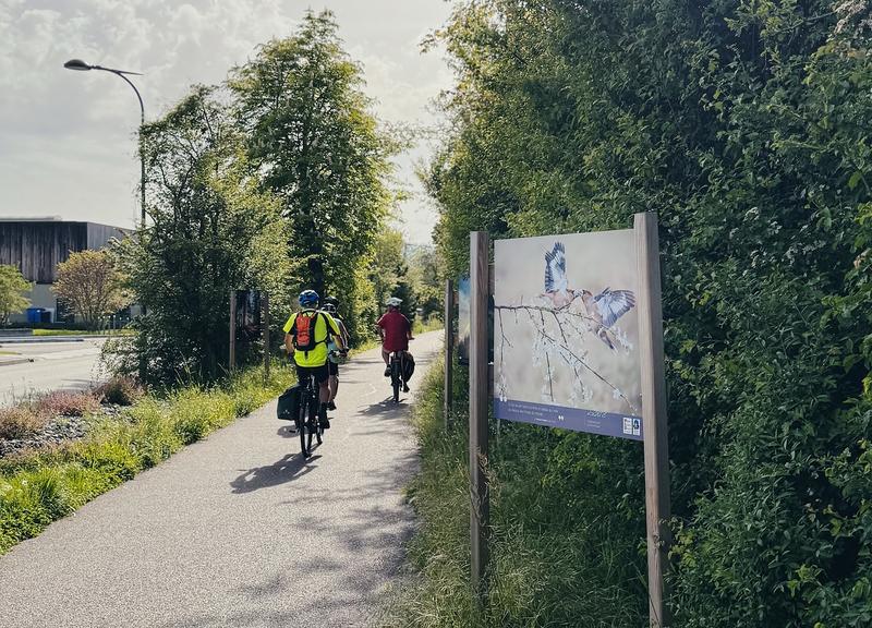 Exposition - Ilots Bonheur, les mots à l'honneur