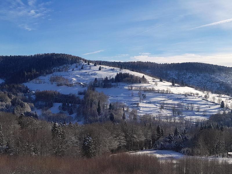 Ferme - 188 m² - 5 pièces