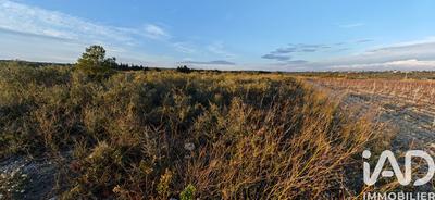 Terrain agricole - 5 940 m²