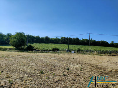 Terrain - 1 229 m²