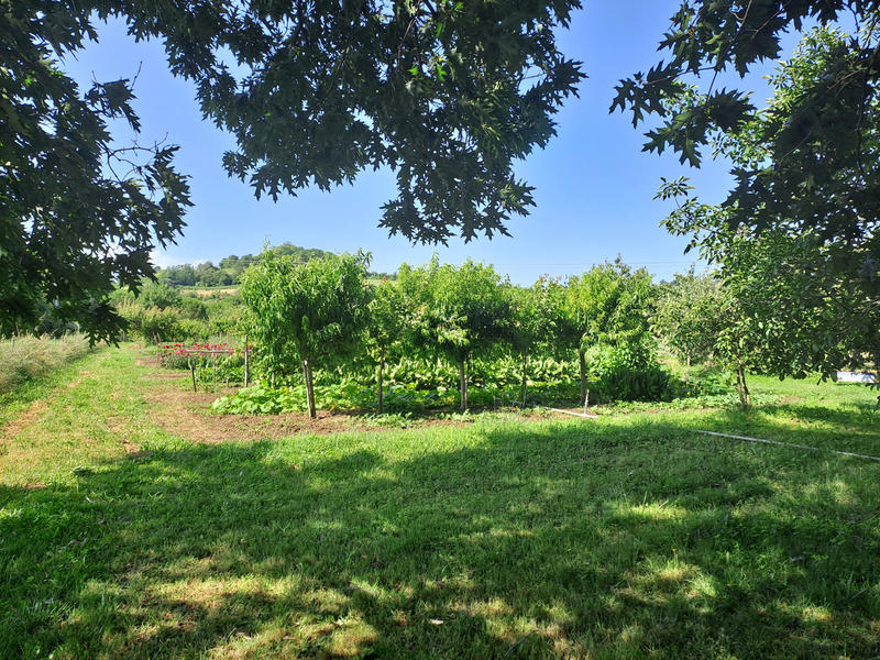 Propriété - 125 m² - 6 pièces