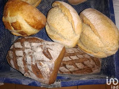 Local commercial - 115 m²