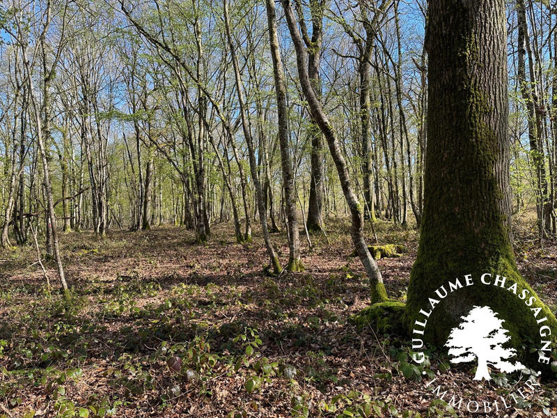 Terrain - 126 780 m²