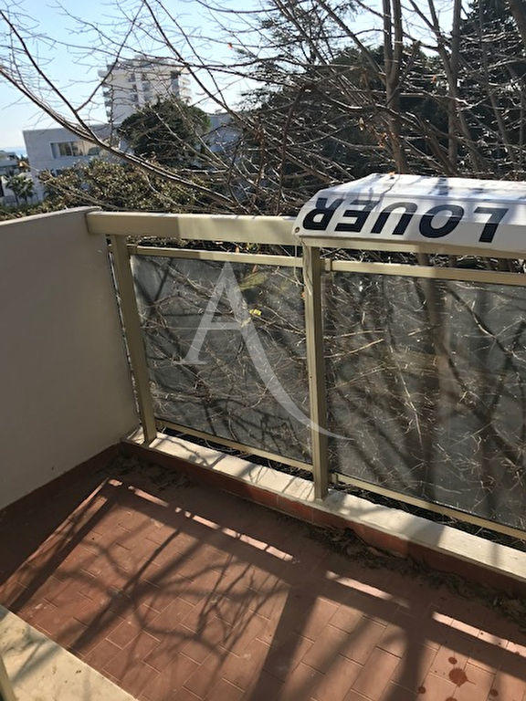 Appartement - 24 m² - 1 pièce