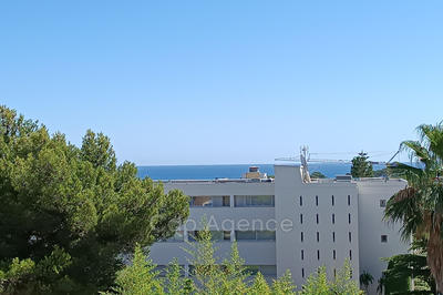 Appartement - 46 m² - 1 pièce