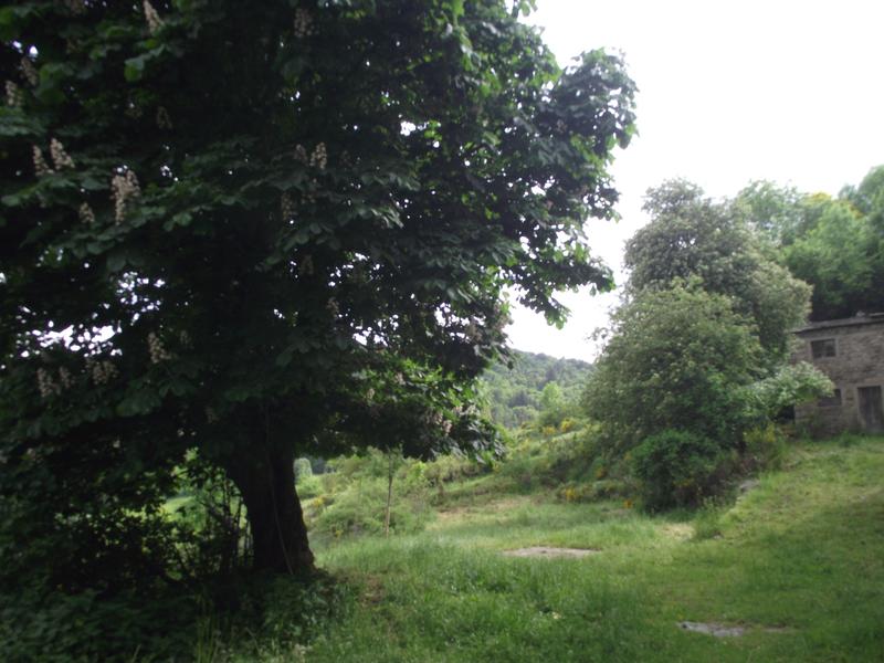 Ferme - 222 m² - 6 pièces