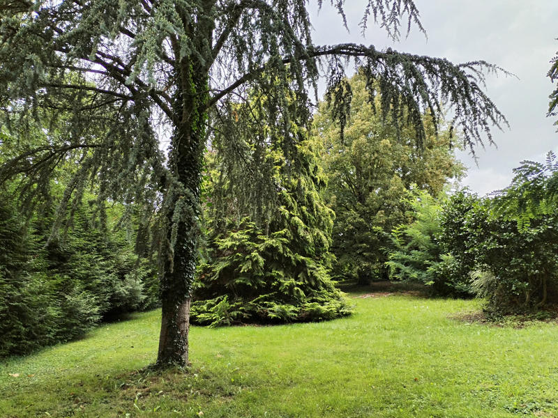 Maison - 163 m² - 6 pièces