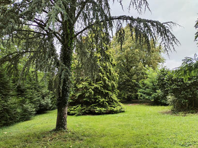 Maison - 163 m² - 6 pièces