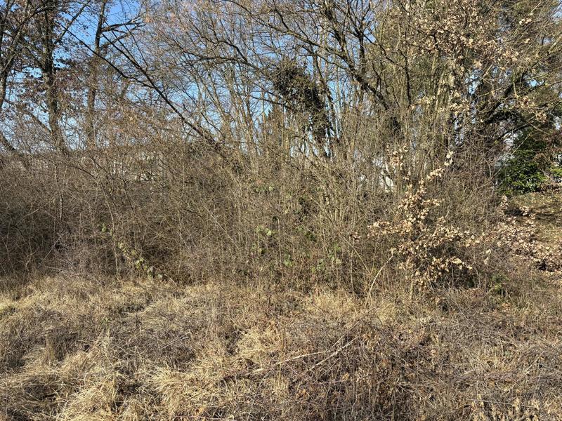 Terrain constructible - 968 m²