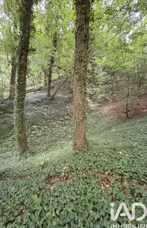 Terrain - 10 604 m²