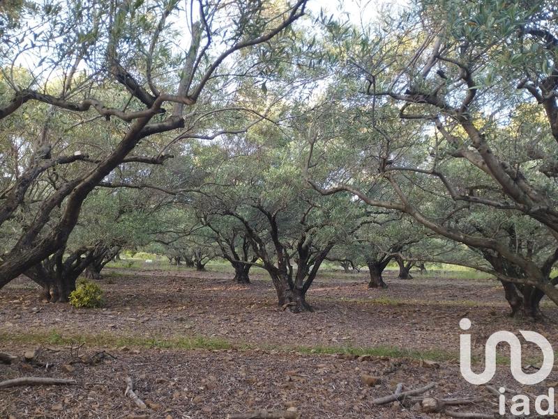 Terrain agricole - 35 260 m²