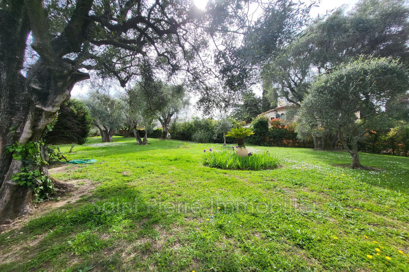 Appartement - 32 m² - 1 pièce