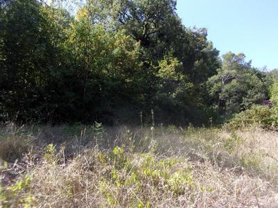 Terrain constructible - 2 354 m²