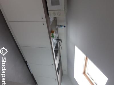 Chambre - 30 m² - 1 pièce