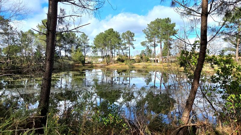 Maison - 115 m² - 4 pièces