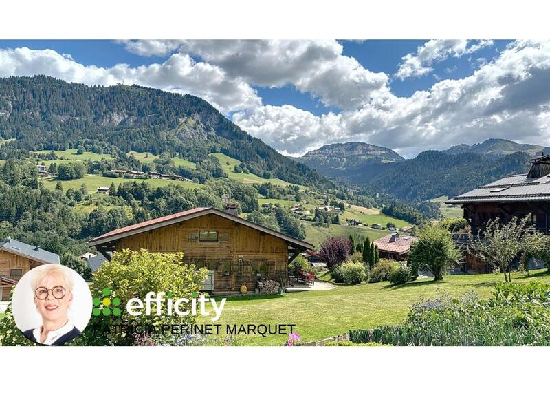 Châlet - 285 m² - 12 pièces