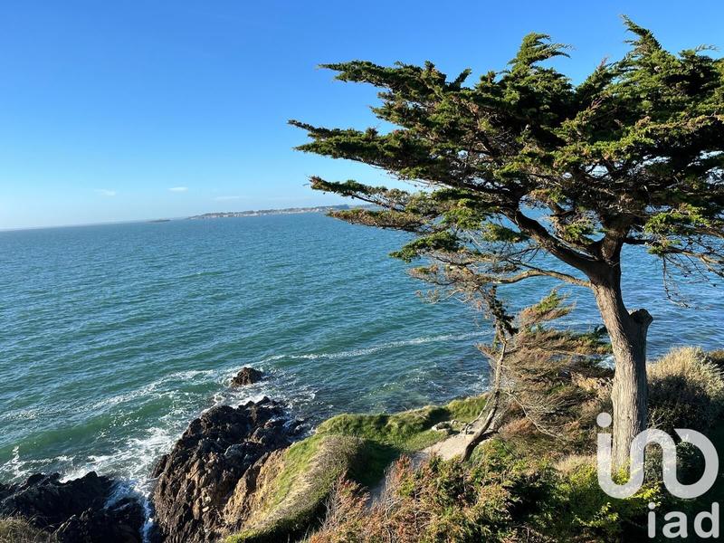 Appartement - 100 m² - 4 pièces