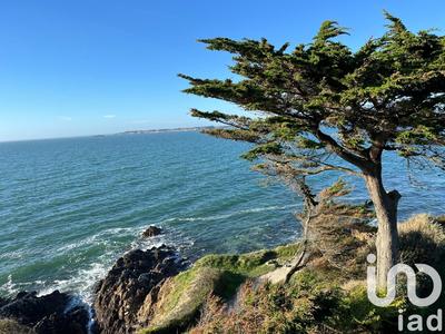 Appartement - 100 m² - 4 pièces