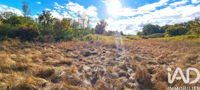 Terrain - 10 392 m²