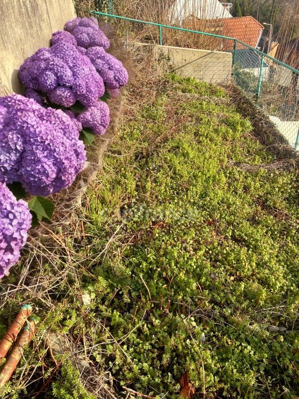 Maison - 71 m² - 4 pièces