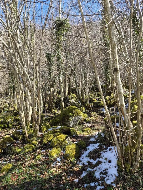 Grange - 24 m² - 2 pièces