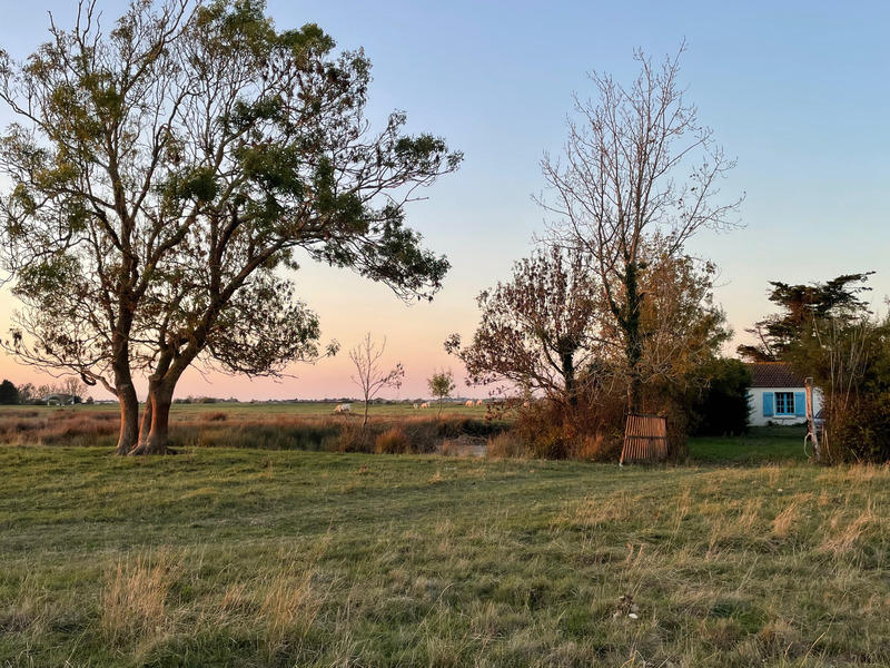 Longère - 97 m² - 5 pièces